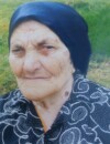 STANIJA Blagojeva DžUVER