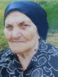 STANIJA Blagojeva DžUVER