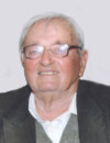 VLADIMIR Stevanov ĆOSOVIĆ