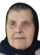 VASA PEKOVIĆ