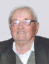 VLADIMIR Stevana ĆOSOVIĆ