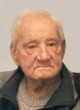 MILOŠ BALTIĆ