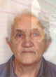 Jelki Kostić