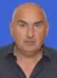 VESELIN RAJO GOVEDARICA