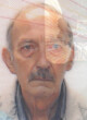 DRAGOLjUB VOJIČIĆ