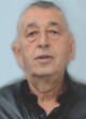SLOBODAN DESPOTOVIĆ
