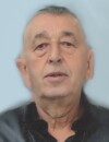 SLOBODAN Radivoja DESPOTOVIĆ