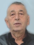 SLOBODAN Radivoja DESPOTOVIĆ