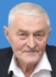 ŽIVOJIN MIKO VIDOJEVIĆ