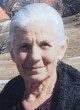 Radi Icovoj Novaković