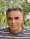  NOVICA M. JOKSIMOVIĆ 