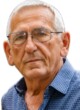 Kiću Glavanoviću