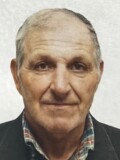 Ljubomir Bulajić