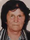 DRAGOMIR i Dragojla PEJOVIĆ