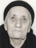 JELICA Vojinova MINIĆ