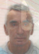 Radomir Pejović