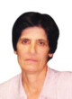 DANKA ŽIVKOVIĆ