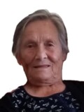STANA Radomana MEĐEDOVIĆ