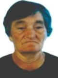 Minić Drago i Velika
