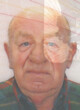 Koprivica Momčilo
