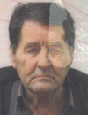 Dušan Bogdanov Milićević