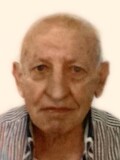 Miljan Popović