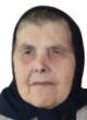 VASA PEKOVIĆ