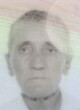 Vladimir Vučić