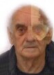 Borislav Boro Vojinov Đekić