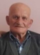 Milan Čolević