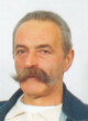 Novici R. Šekarić