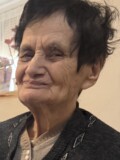 SENKA Dragiše KRSTAJIĆ
