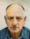 GORAN Voja MEDENICA