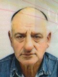 GORAN Voja MEDENICA