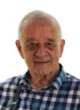VOJISLAV MILATOVIĆ