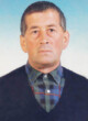 JOVAN MILOVIĆ