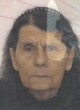 tomić radinka