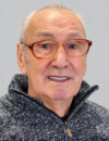 MILORAD Đorđija VUŠOVIĆ