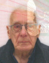 jovan mejo vujović